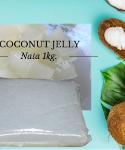 nata-de-coco-coconut-jelly-raw