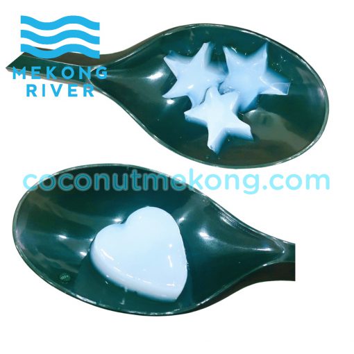 nata de coco star shape heart shap coconut jelly